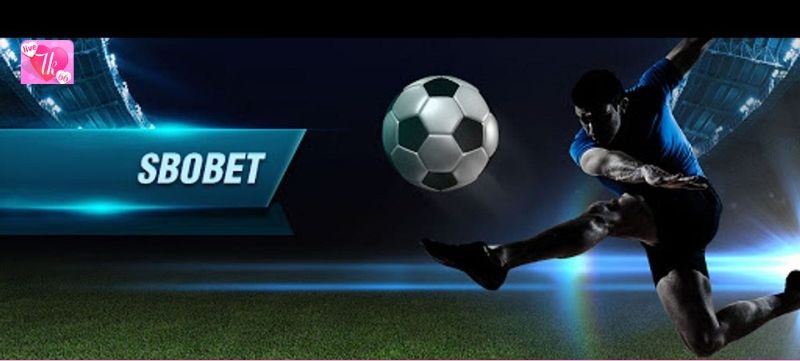 Hướng dẫn chi tiết về Sbobet Tk66