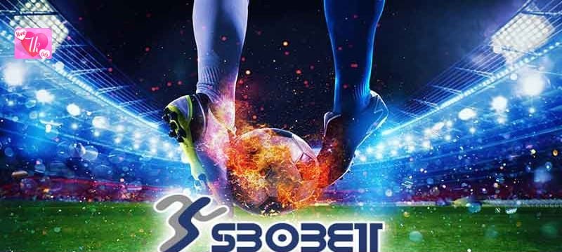 Cách Chơi Cá Độ Bóng Đá Tại Sbobet Tk66 Cho Các Tân Thủ